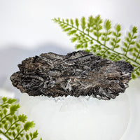 Black Kyanite 5