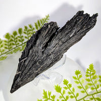 Black Kyanite 7