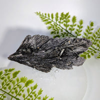 Black Kyanite 5