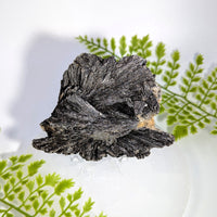 Black Kyanite 4