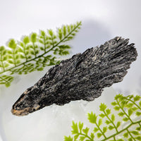 Black Kyanite 4.25