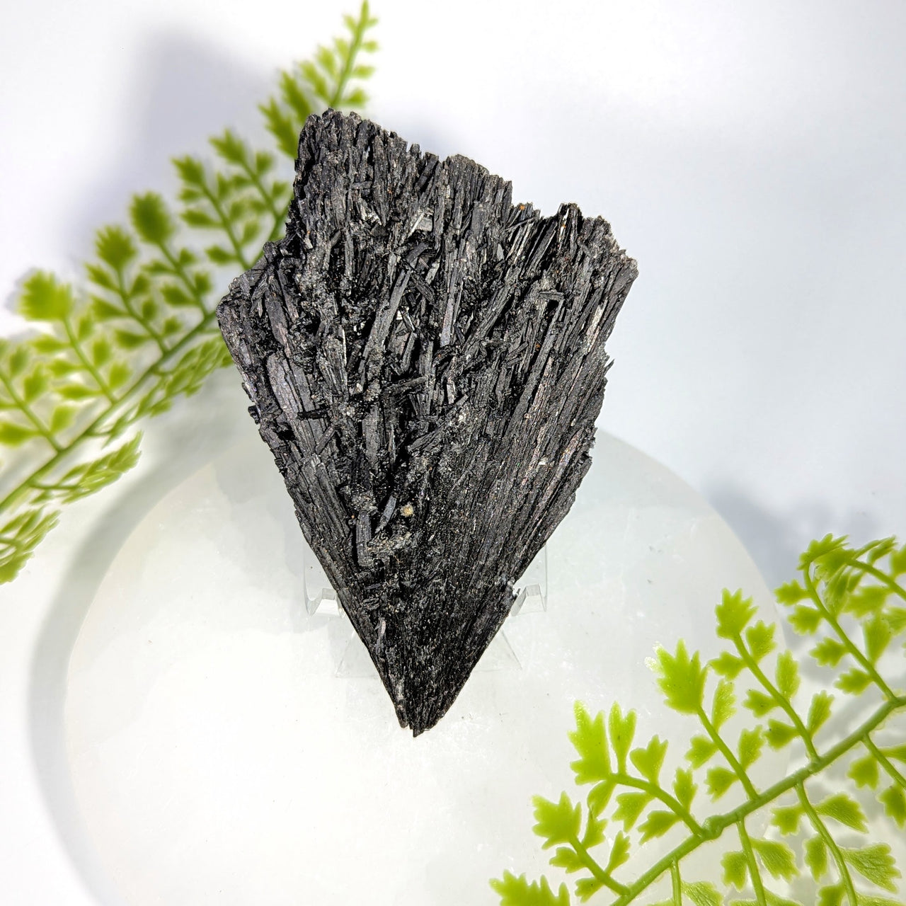 Black Kyanite 4" Rough Blade Cluster #BC1731