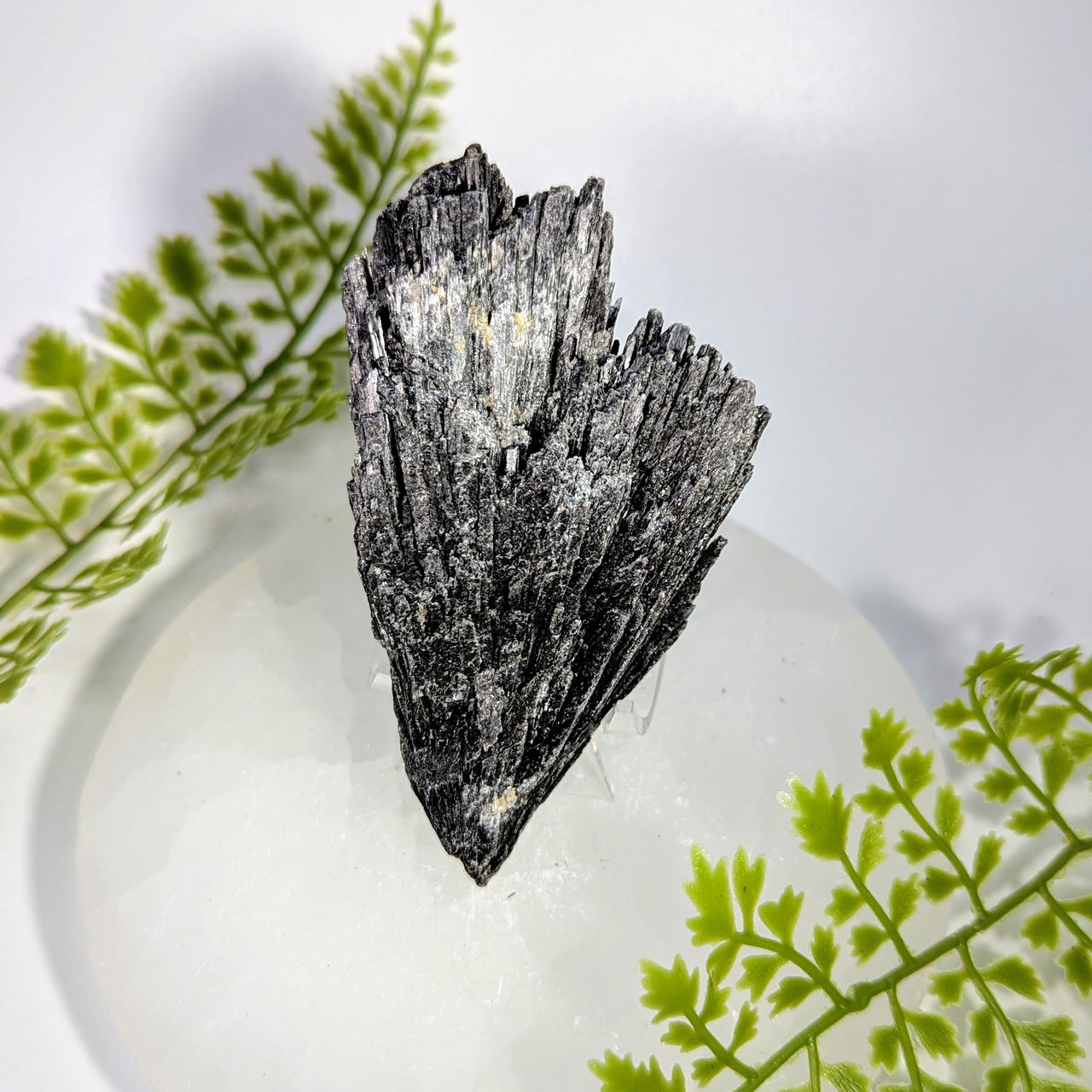 Black Kyanite 4" Rough Blade Cluster #BC1732