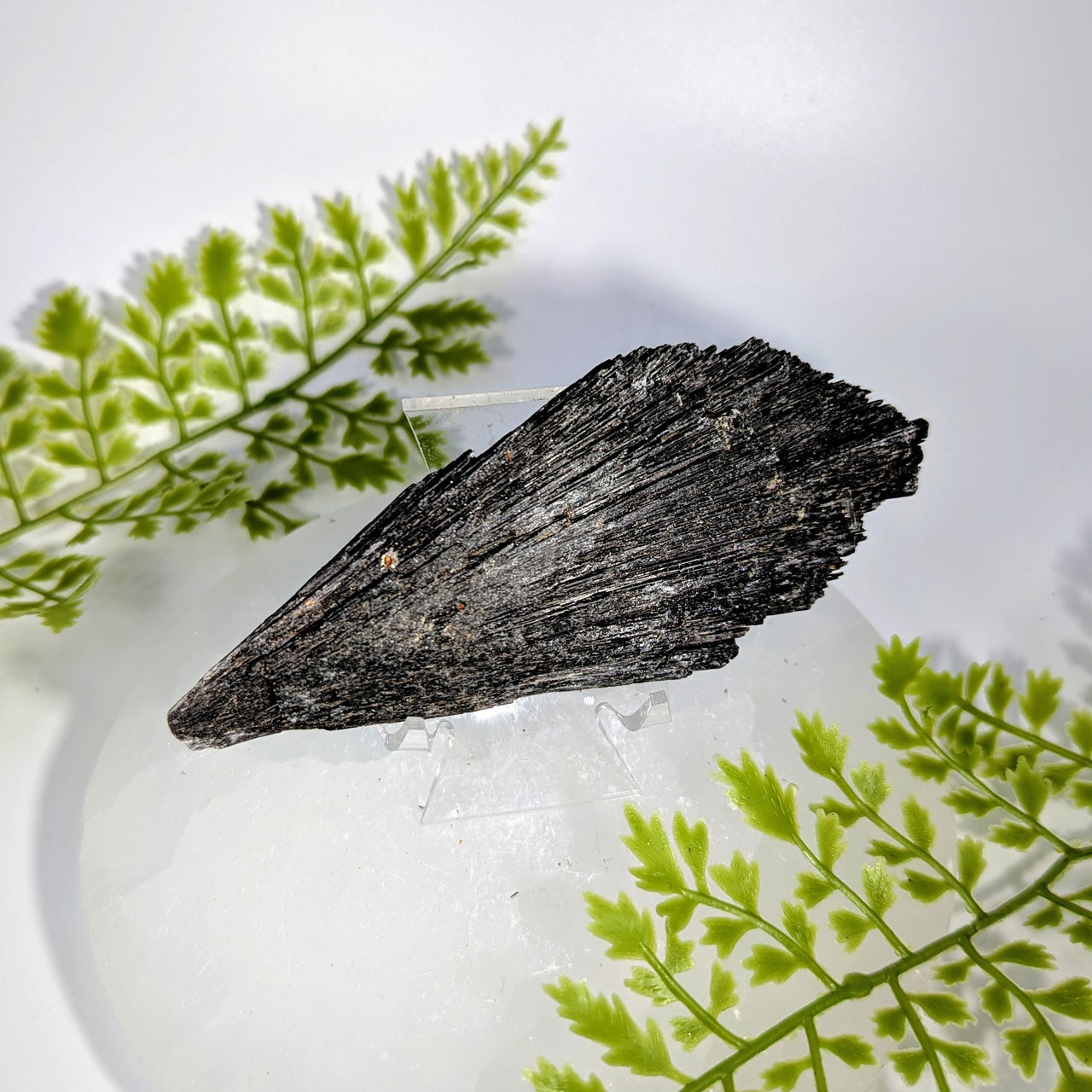 Black Kyanite 4.75" Rough Blade Cluster #BC1733