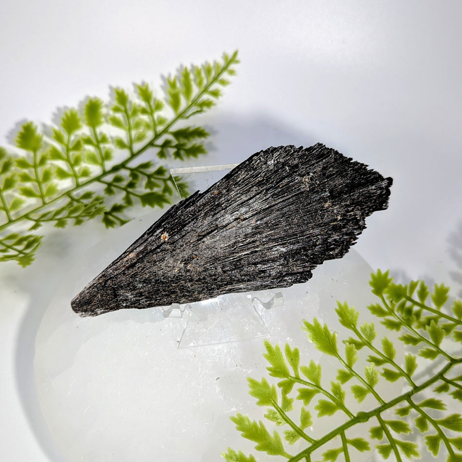 Black Kyanite 4.75" Rough Blade Cluster #BC1733