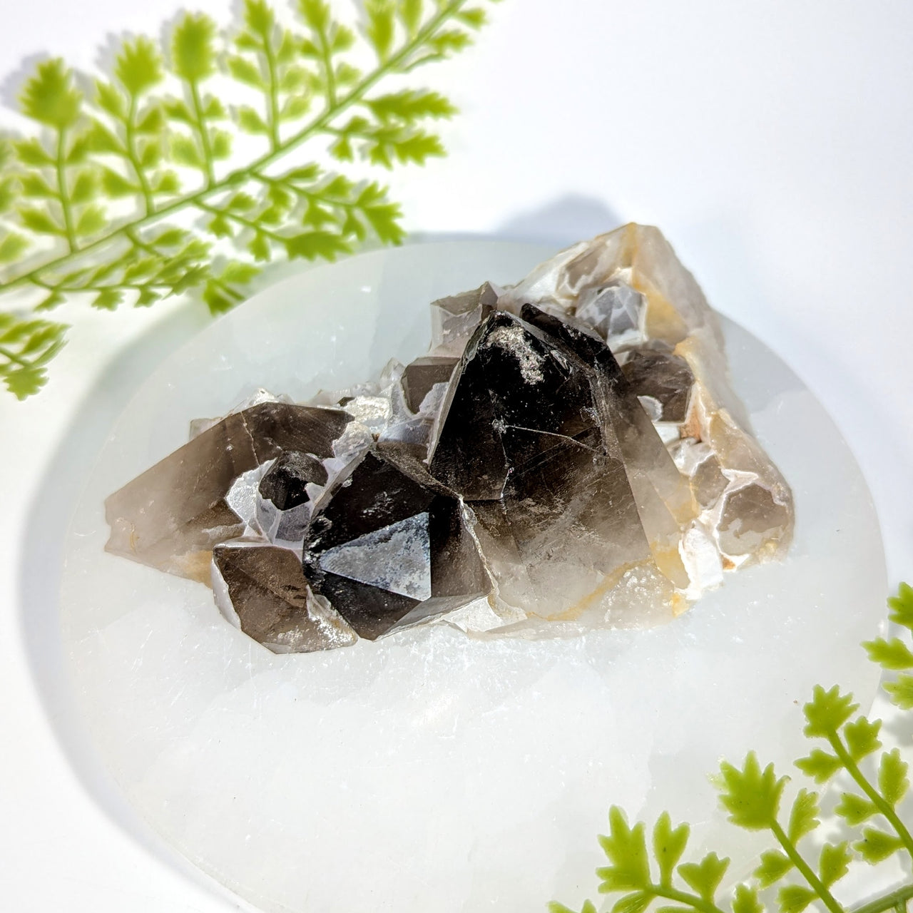 Smoky Quartz 4.5" Cluster #BC1734