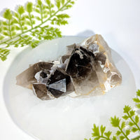 Smoky Quartz 4.5