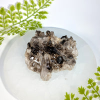 Smoky Quartz 3