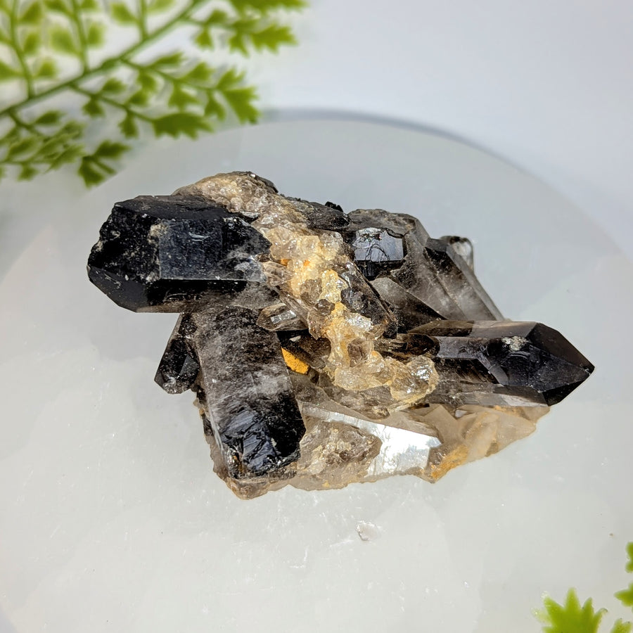 Smoky Quartz 3" Cluster #BC1736