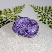 Charoite 1.75