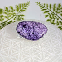 Charoite 1.75