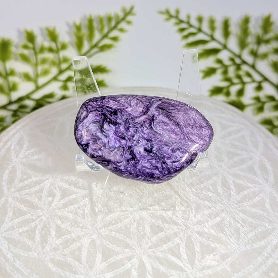 Charoite 1.75" Organic Palm #BC1738