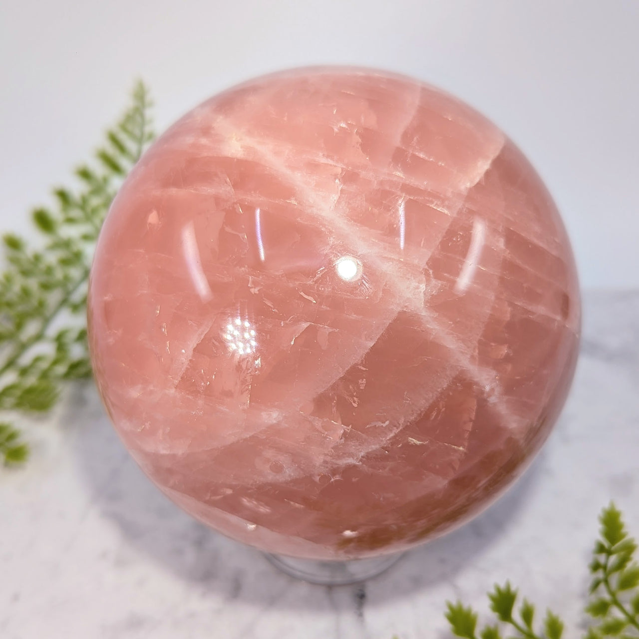Star Rose Quartz 5" Jumbo Sphere #BC1742