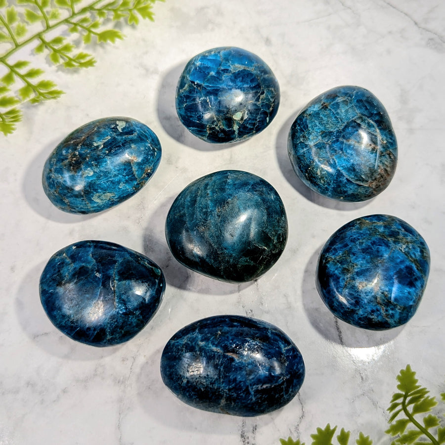 Blue Apatite 2" Pebble Palm #BC1744