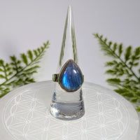 Labradorite   Sz 7.75 Teardrop S.S. Ring #BC1913