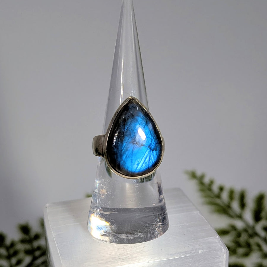 Labradorite  Sz 7.5 Teardrop S.S. Ring #BC1914