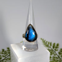 Labradorite  Sz 10 Teardrop S.S. Ring #BC1915