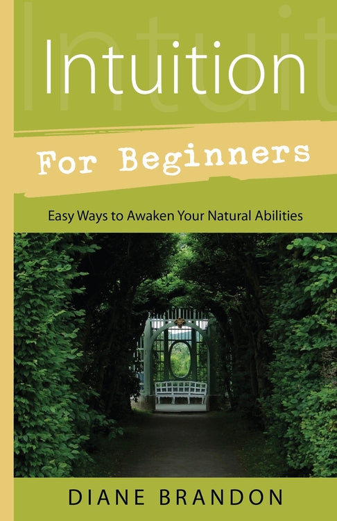 Intuition for Beginners  Book #LV3506