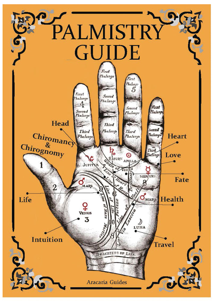 Palmistry Guide  Laminated Card #LV3536