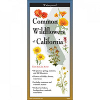 Thumbnail for Wildflowers of California  Field Guide #LV3701