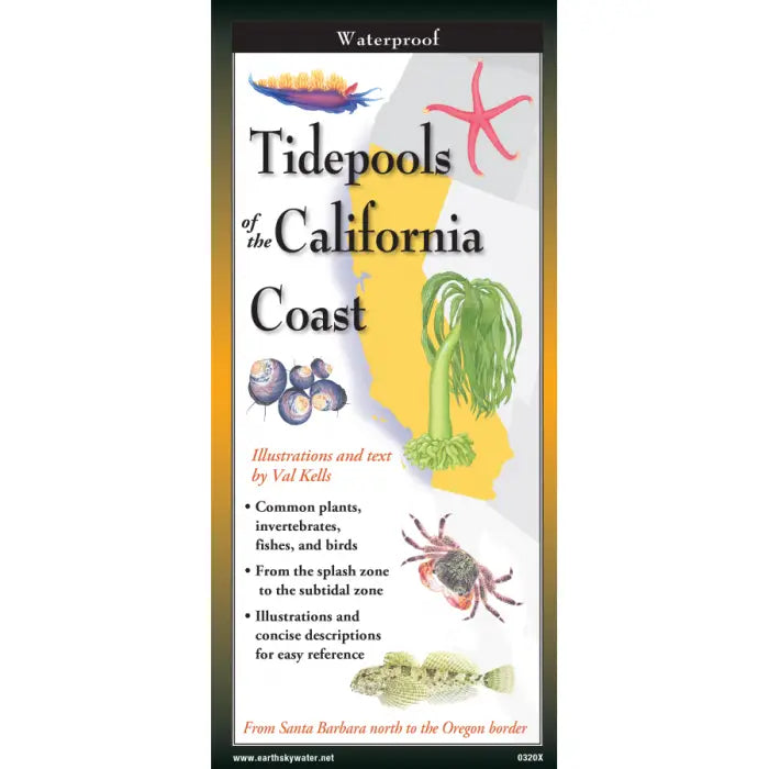 Tidepools of the CA Coast   Field Guide #LV3704