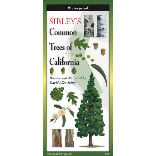 Sibley's Trees of California  Field Guide #LV3705