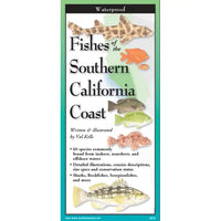 Thumbnail for Fishes of Southern CA Coast  Field Guide #LV3706