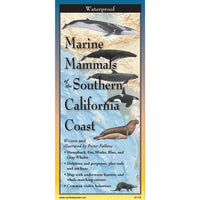 Thumbnail for Marine Mammals of SoCal   Field Guide #LV3707