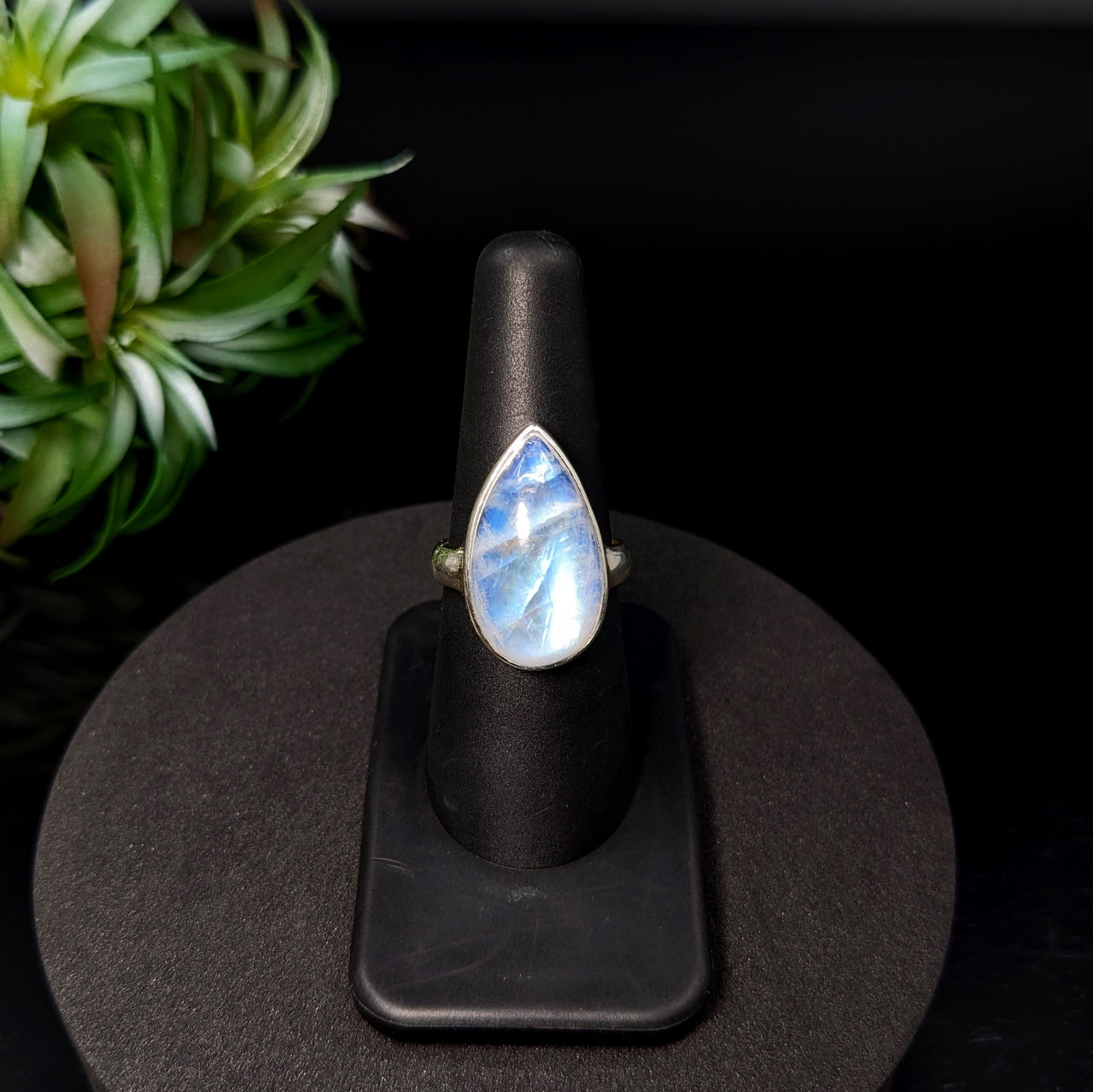 Rainbow Moonstone  Sz. 7.5 S.S. Teardrop Ring #LV5528