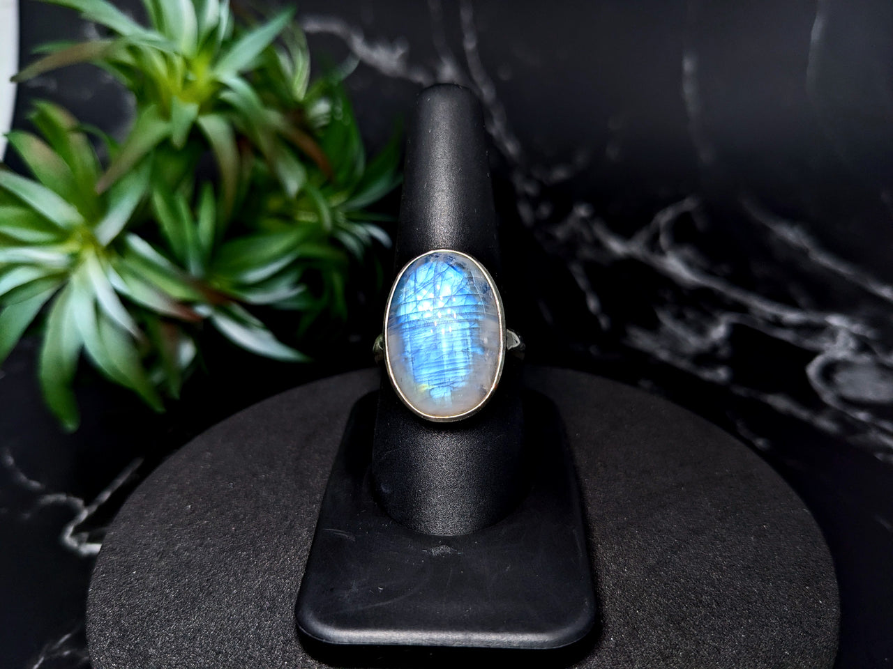 Rainbow Moonstone  Sz. 9 S.S. Oval Ring #LV5530