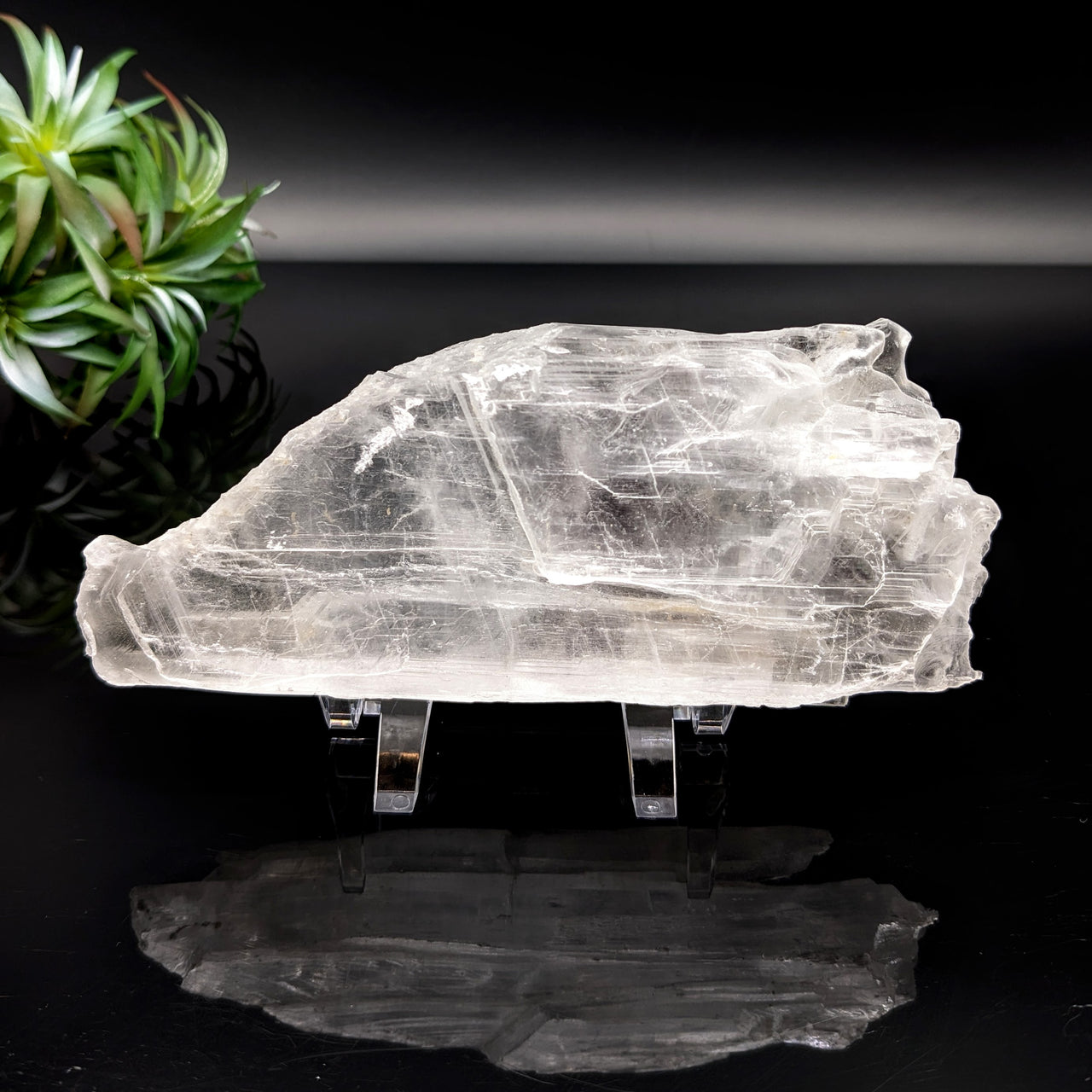 Selenite 5.8" Angel Wing #LV5565