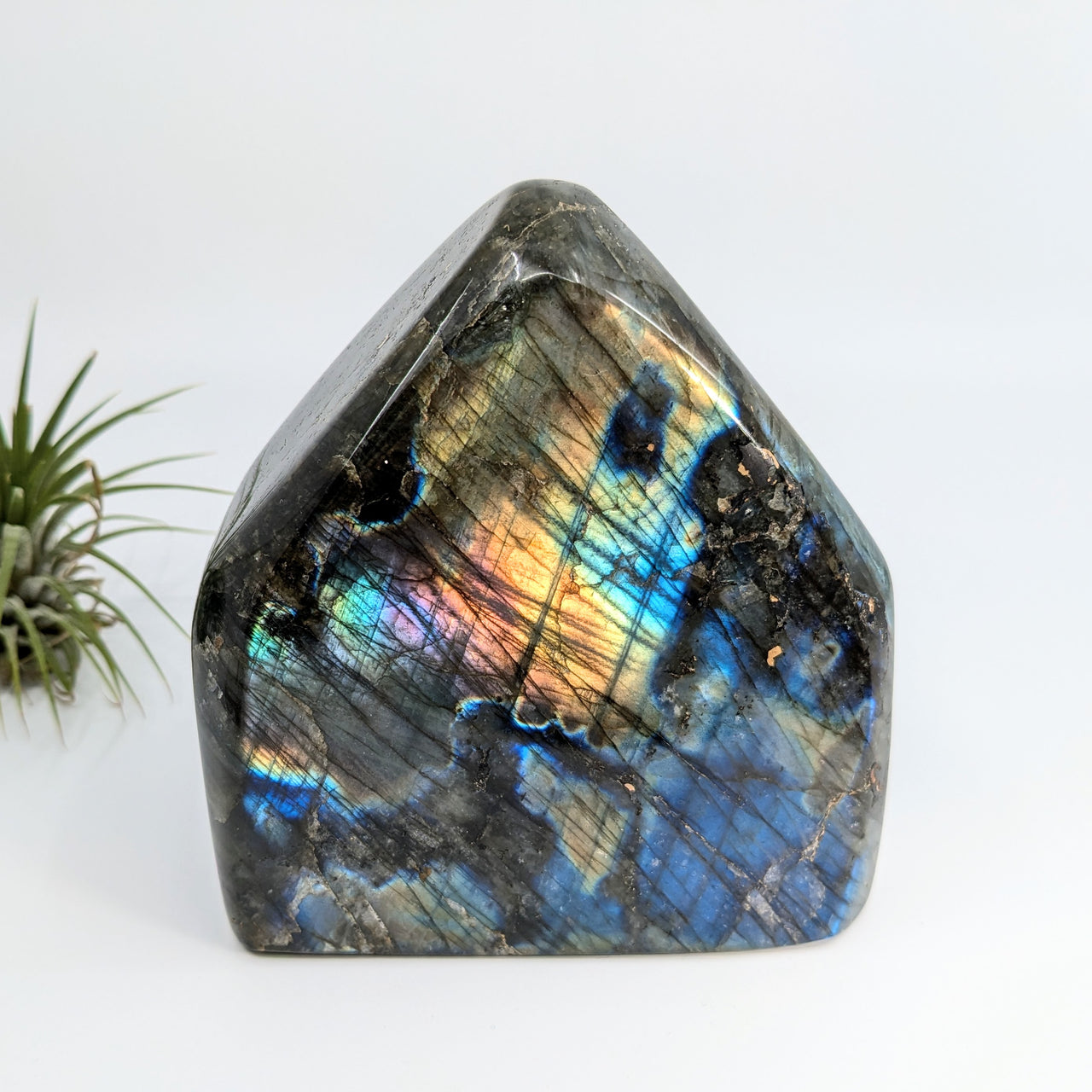 Labradorite 4.7" Freeform #LV5629