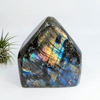 Thumbnail for Labradorite 4.7