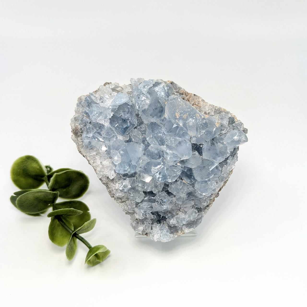 Celestite 3" Geode #LV5651