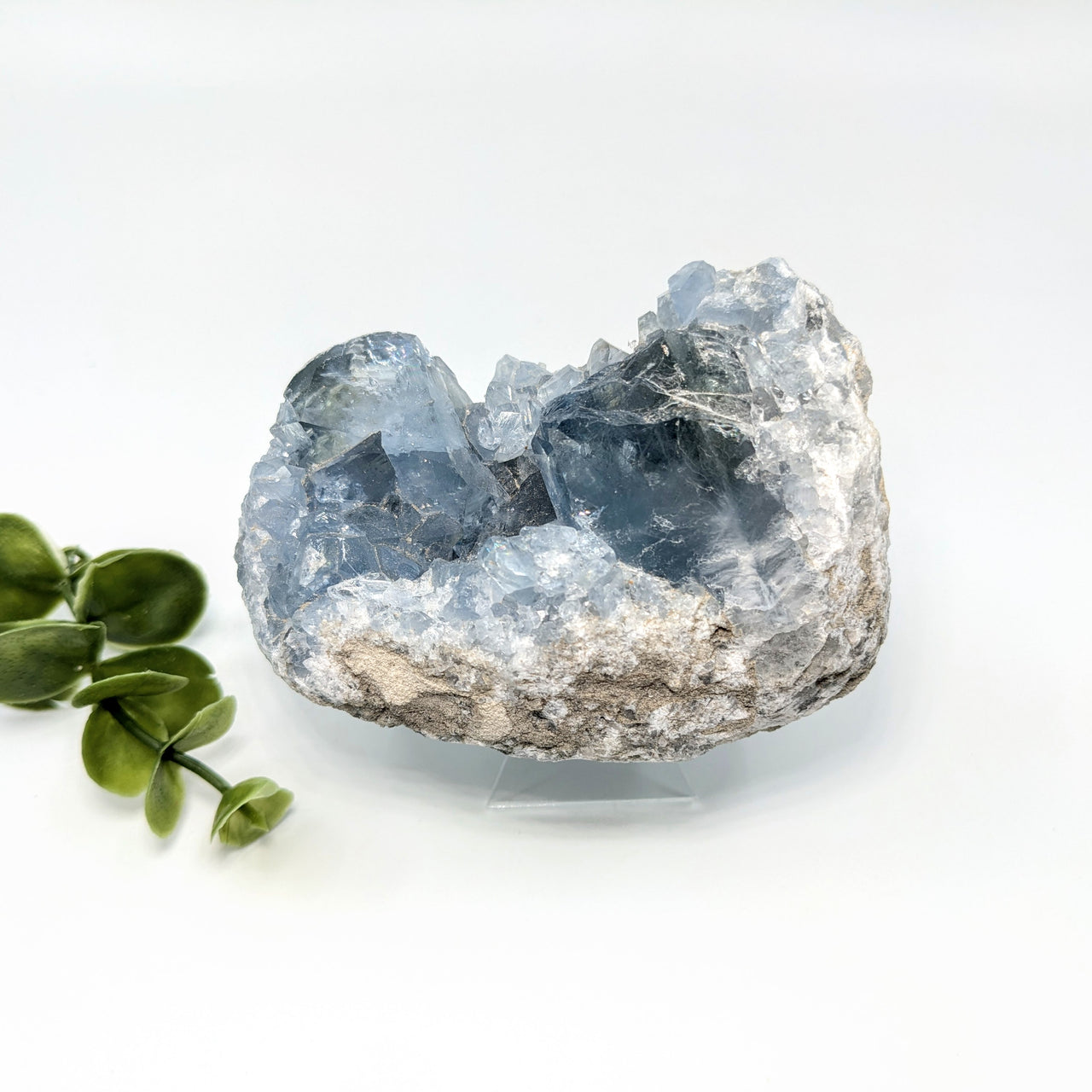 Celestite 3.5" Geode #LV5658