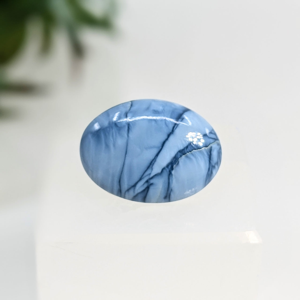 Owyhee Blue Opal 1.25" Oval Cabochon #LV5837