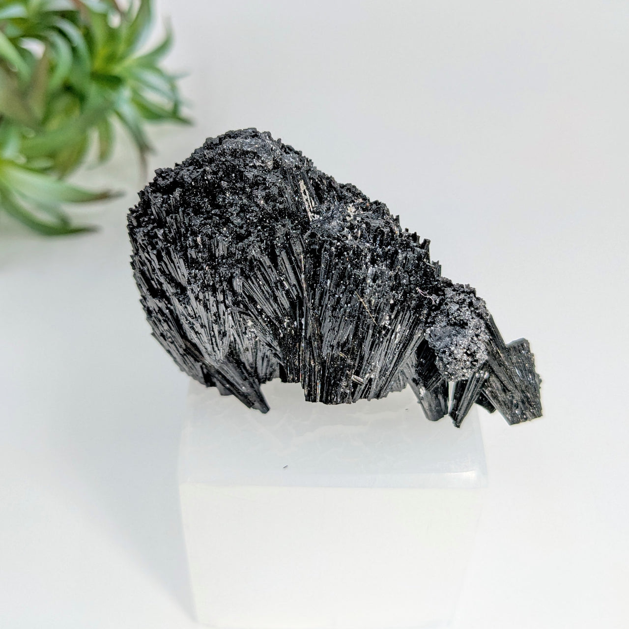 Black Tourmaline 2.5" Raw & Natural Cluster #LV5860