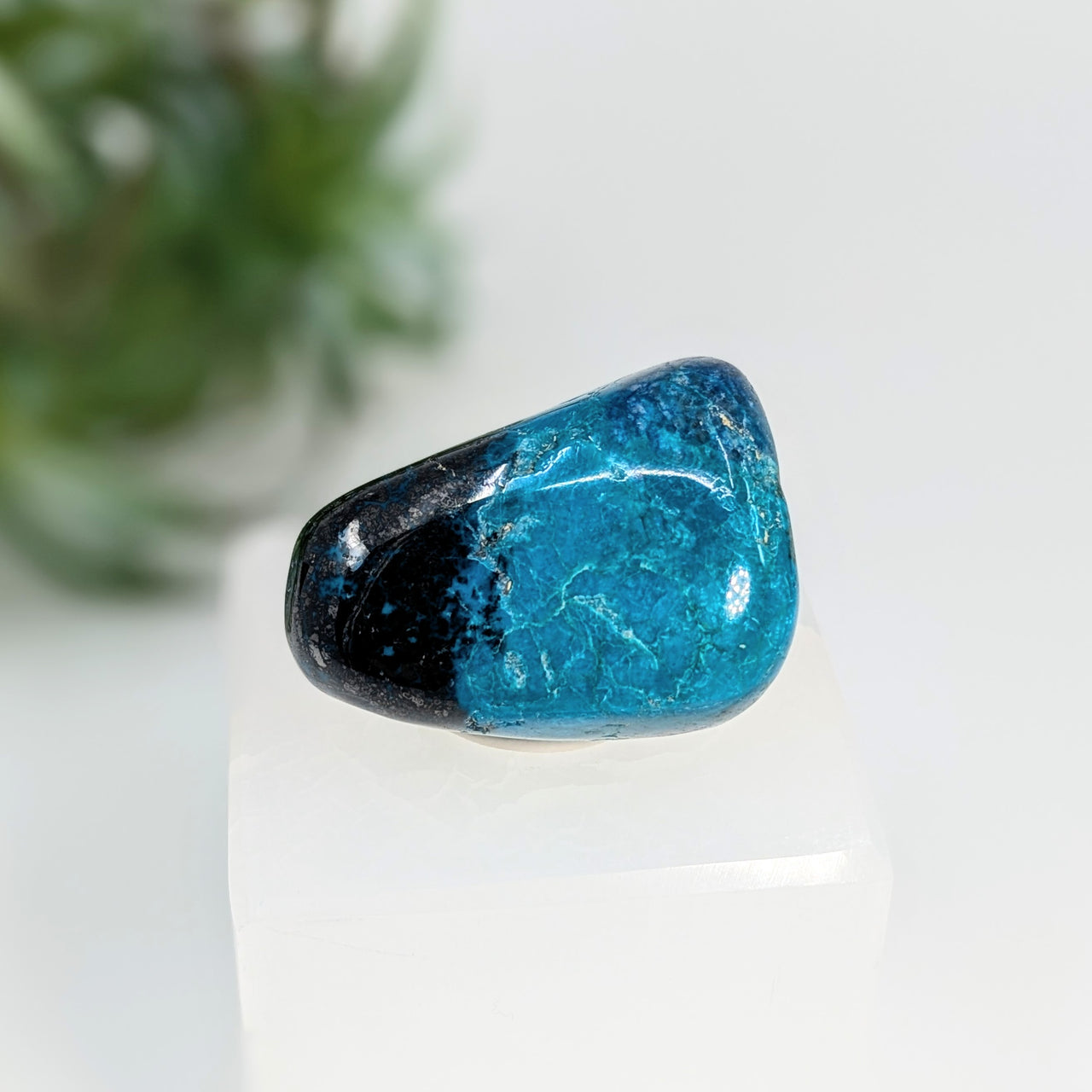 Chrysocolla with Shattuckite 1.5" Grade A Polished Pebble #LV5864