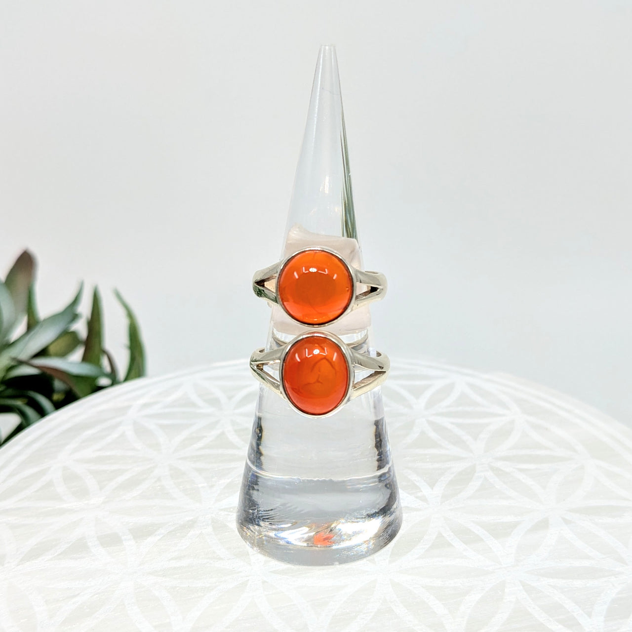 Carnelian   S.S. Round Ring #LV5967