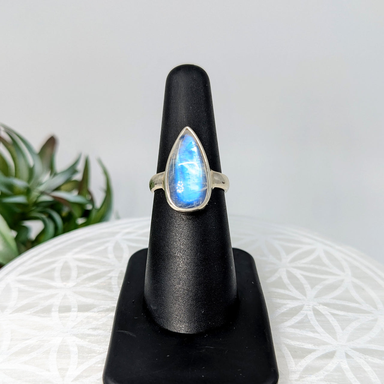 Rainbow Moonstone  Sz 6  S.S. Ring #LV5975