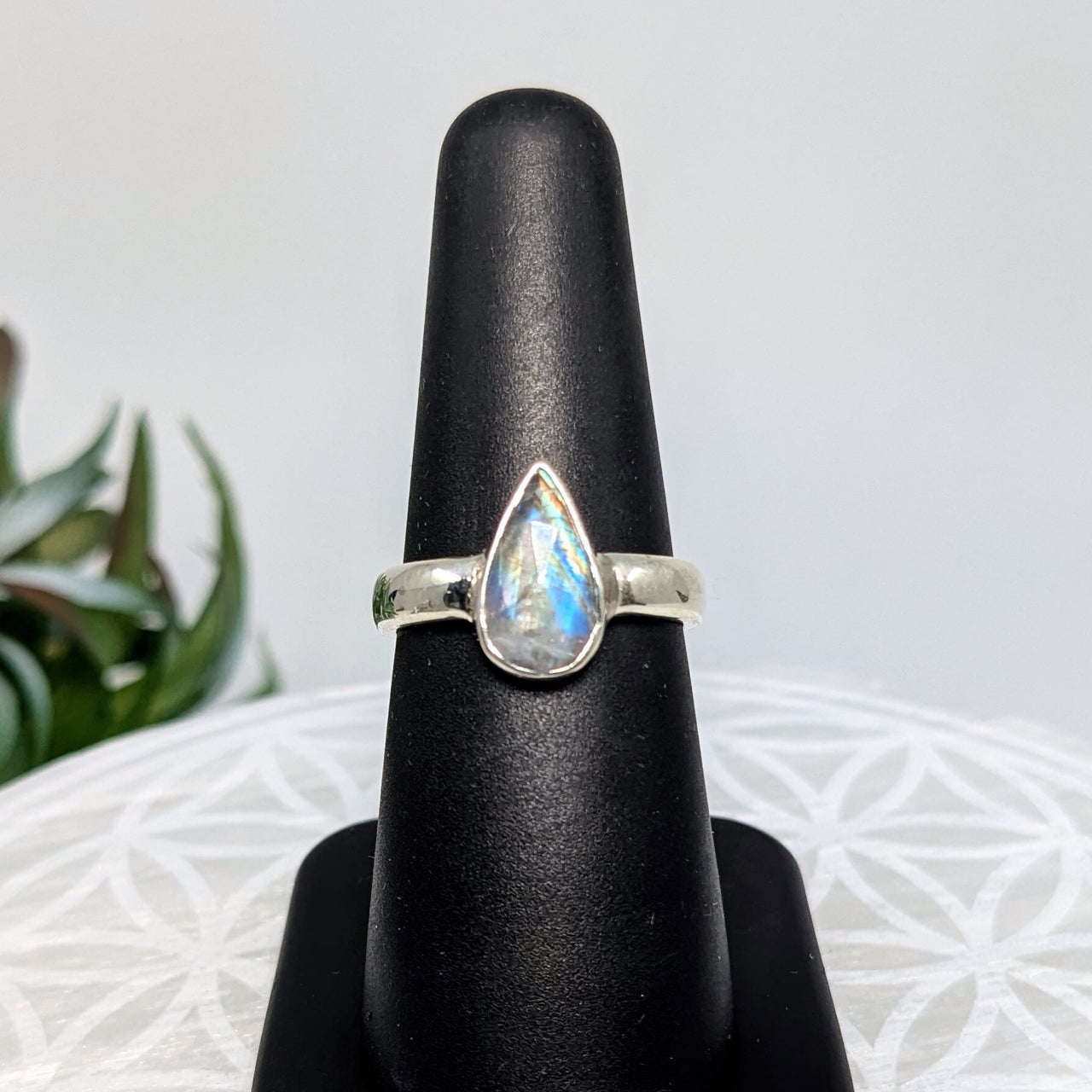 Rainbow Moonstone  Sz 6  S.S. Ring #LV5982