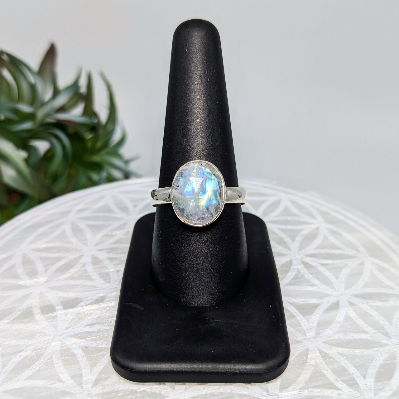 Rainbow Moonstone  Sz 9.5  S.S. Faceted Ring #LV5983