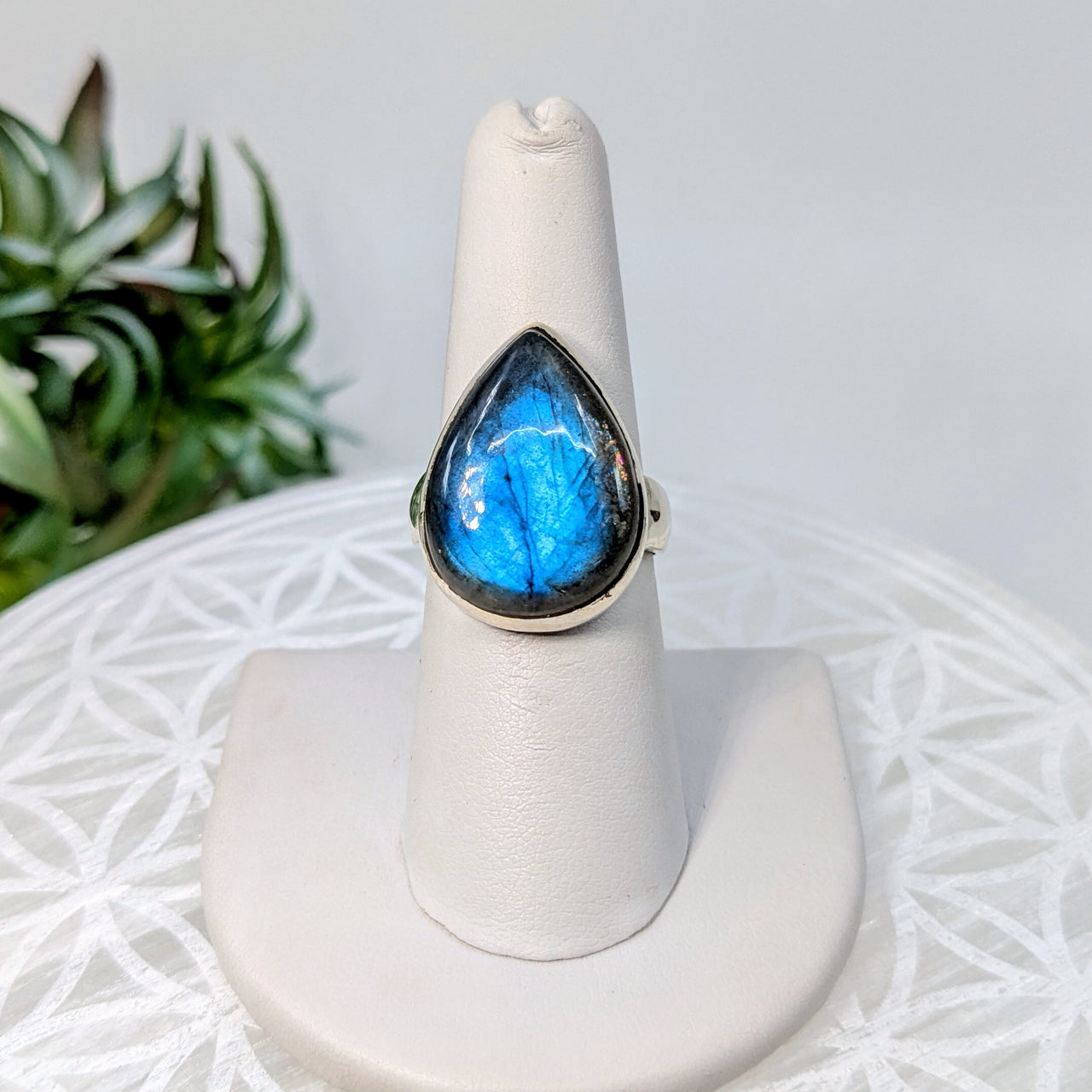 Labradorite  Sz 7  S.S. Ring #LV5991