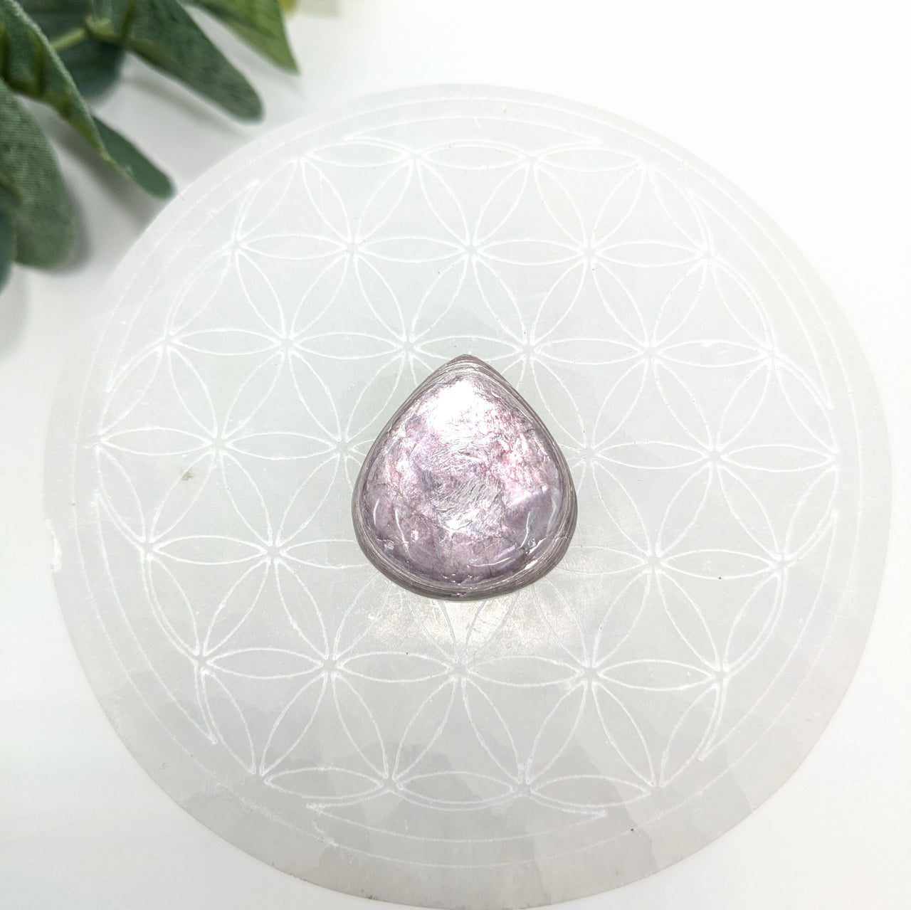 Gem Lepidolite  1.5" Teardrop Cabachon #LV6038