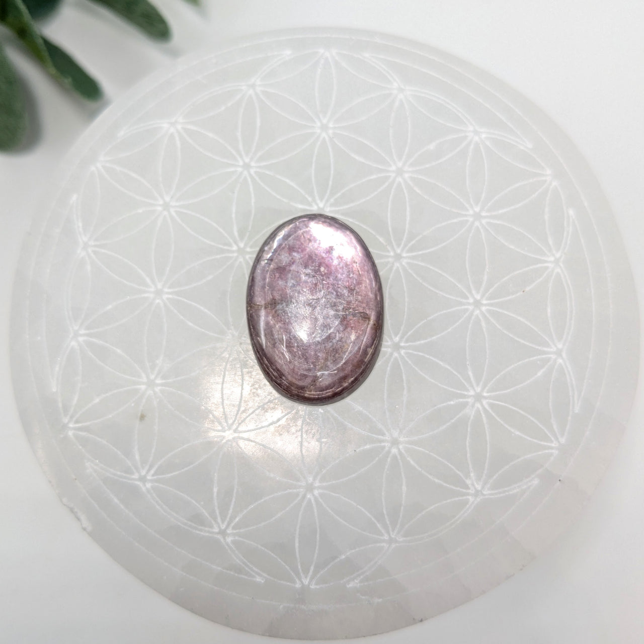 Gem Lepidolite  1" Oval Cabachon #LV6044