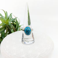 Thumbnail for Persian Turquoise Sz 8 Oval S.S. Ring #LV6057