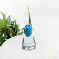 Thumbnail for Persian Turquoise Sz 6 Oval S.S. Ring #LV6060