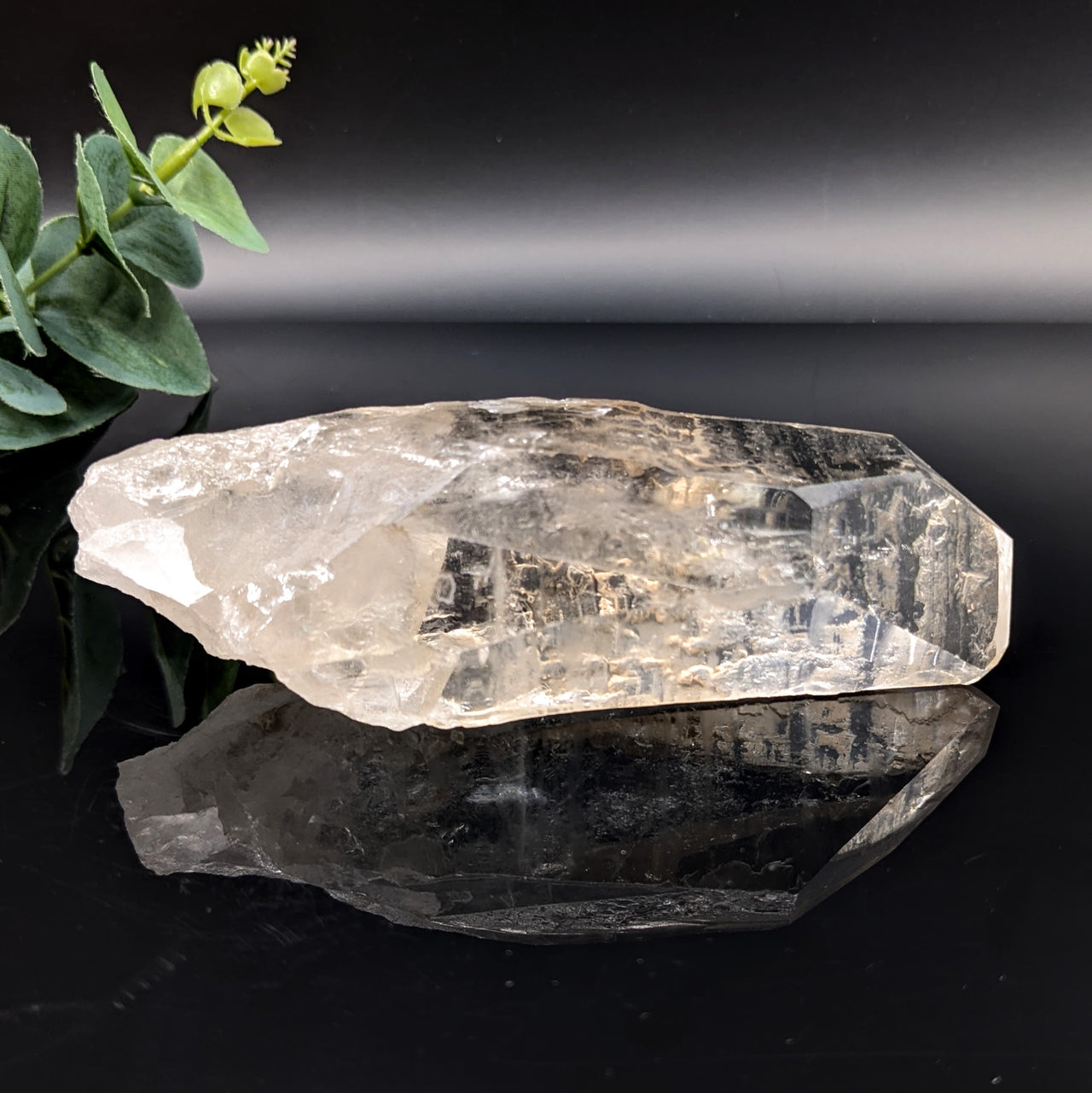 Lemurian Quartz 5.2" Point #LV6066