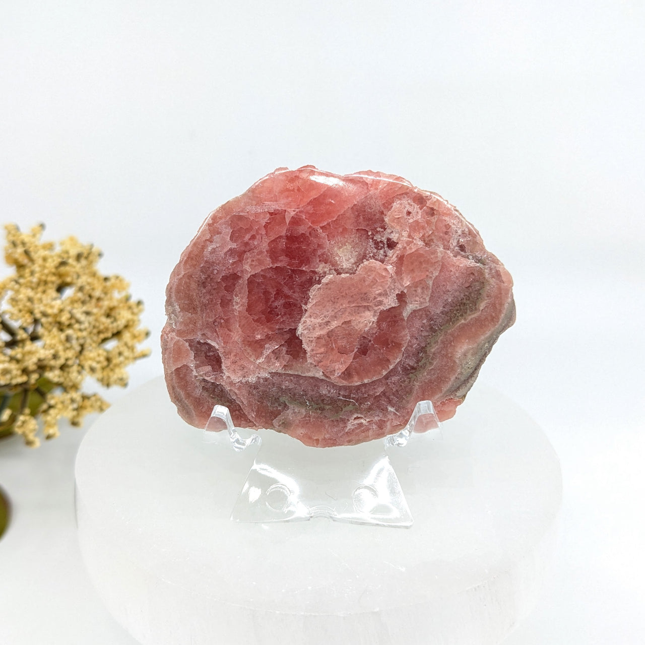 Rhodochrosite 2.4" Half Polish #LV6142