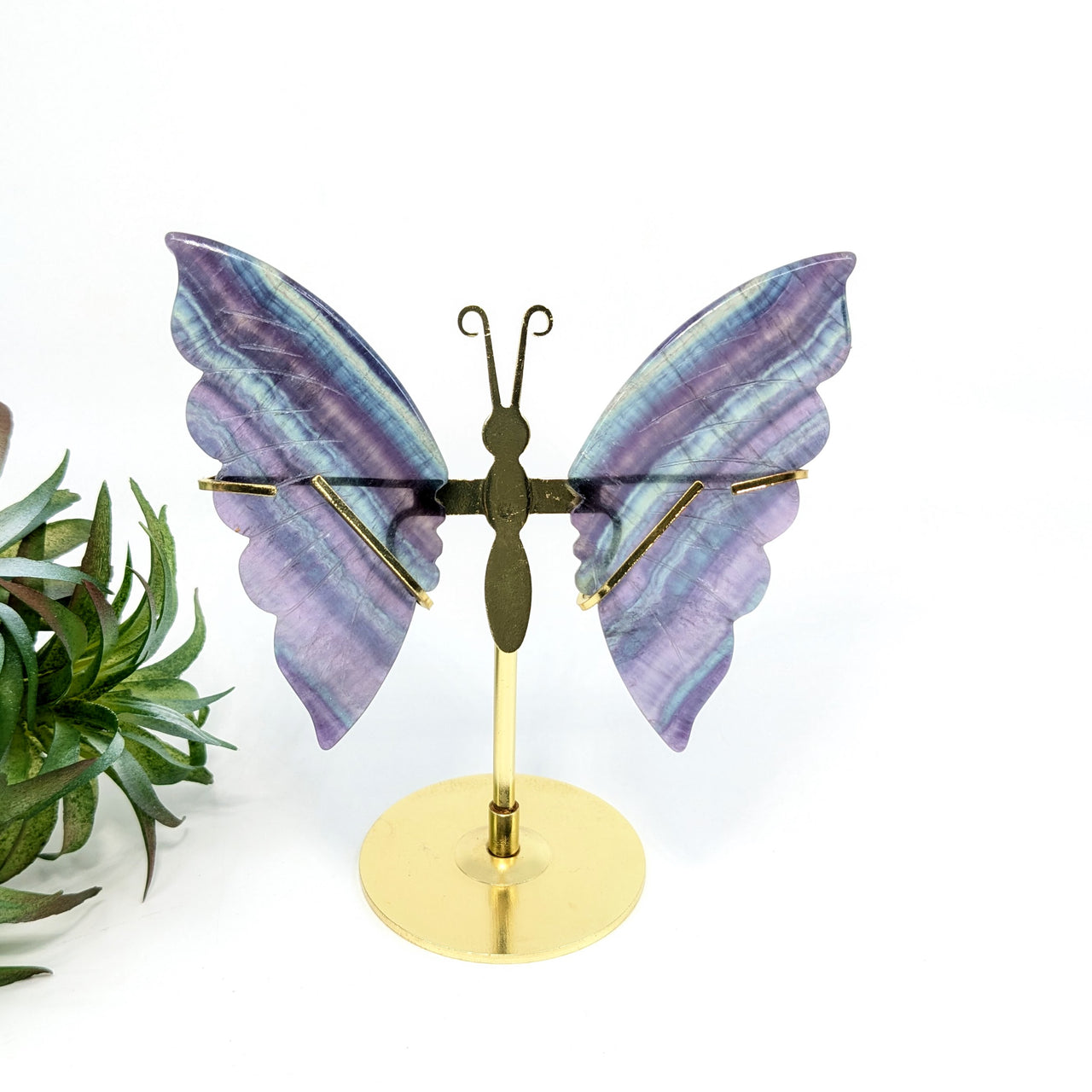 Fluorite  3.3" Butterfly & Stand #LV6212